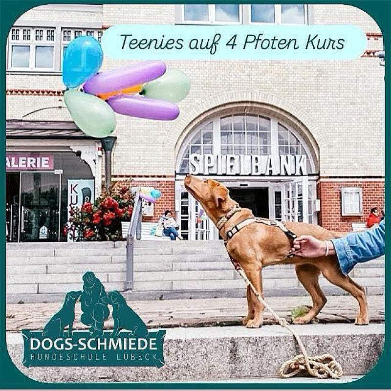 "Teenie Themenkiste" Schnupperstunde