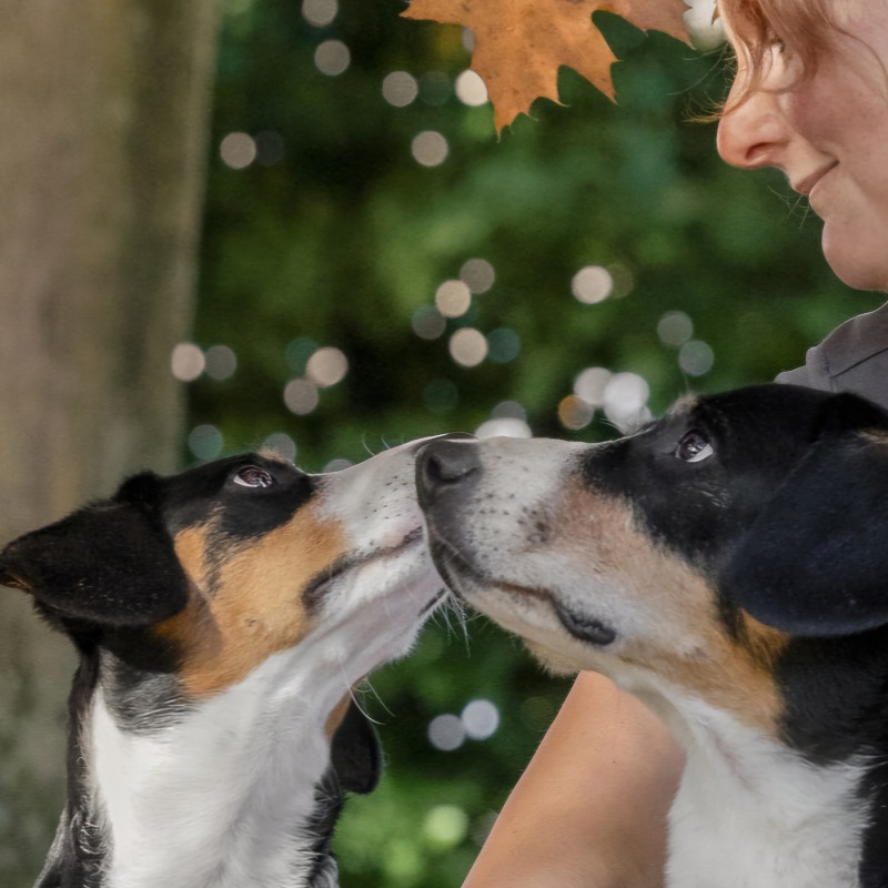 "You & me" - Mensch-Hund-Kommunikation Nr 6