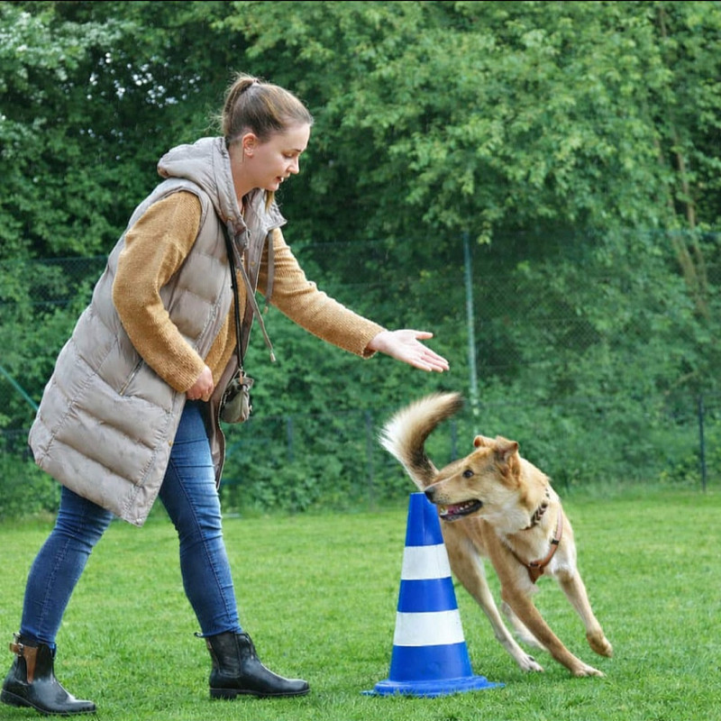 "Quer durch den Garten" Kurs Nr 2