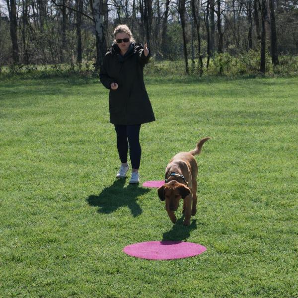 "Einweisen" Schnupperstunde