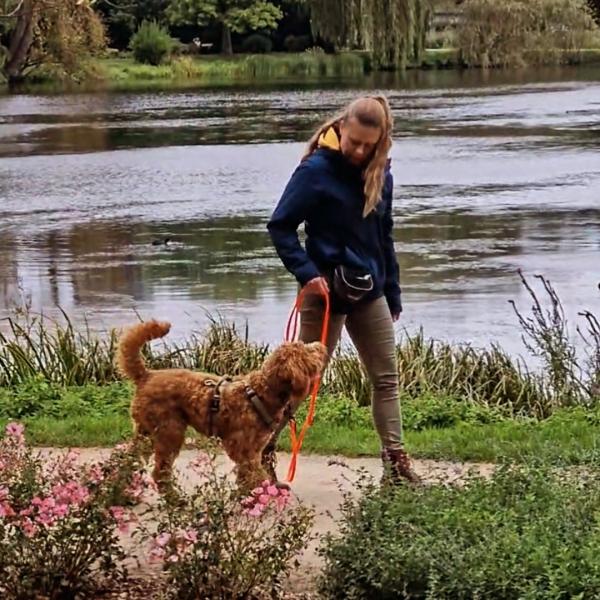 Leinenführigkeits- Basiskurs Nr 29