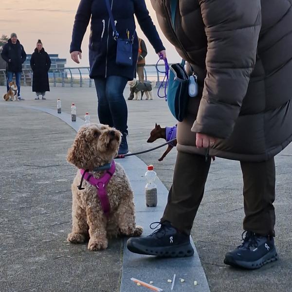 "Nix da! Friss das nicht!" Kurs Nr 8