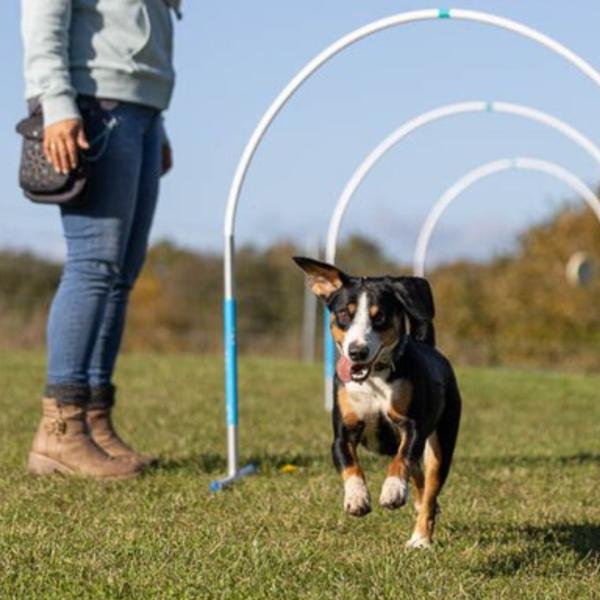 Hoopers Aufbaukurs Nr 1.26