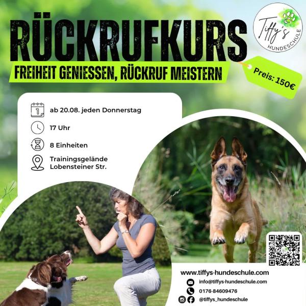 Rückruftraining