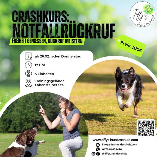 Crashkurs: Notfallrückruf (Pfeife)