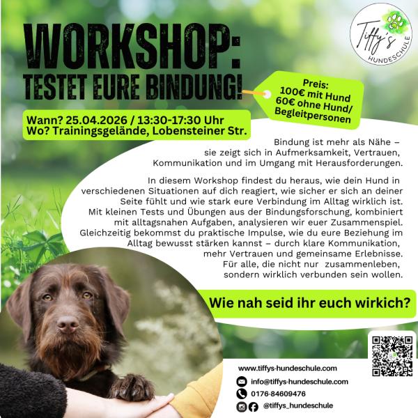 Workshop: Bindung & Beziehung