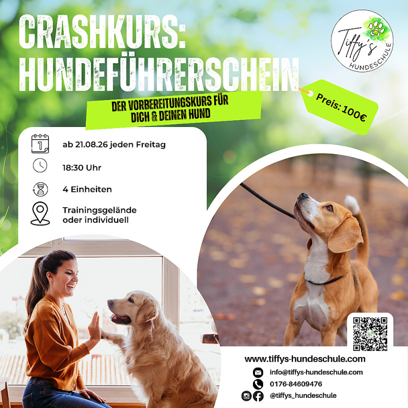 Crashkurs: Hundeführerschein