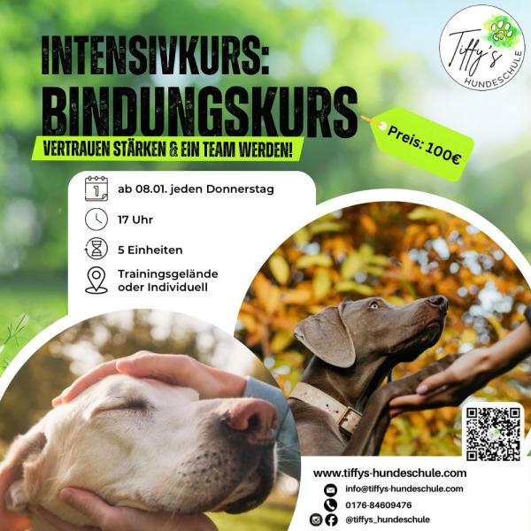 Intensivkurs: Bindungskurs