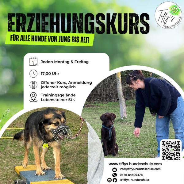 Erziehungskurs
