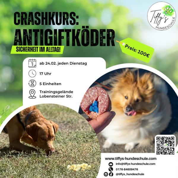 Crashkurs: Antigiftködertraining