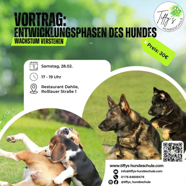 Vortrag: Entwicklungsphasen des Hundes