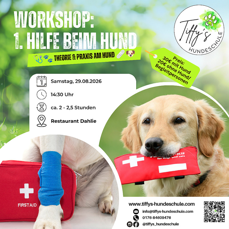 Workshop: 1. Hilfe beim Hund