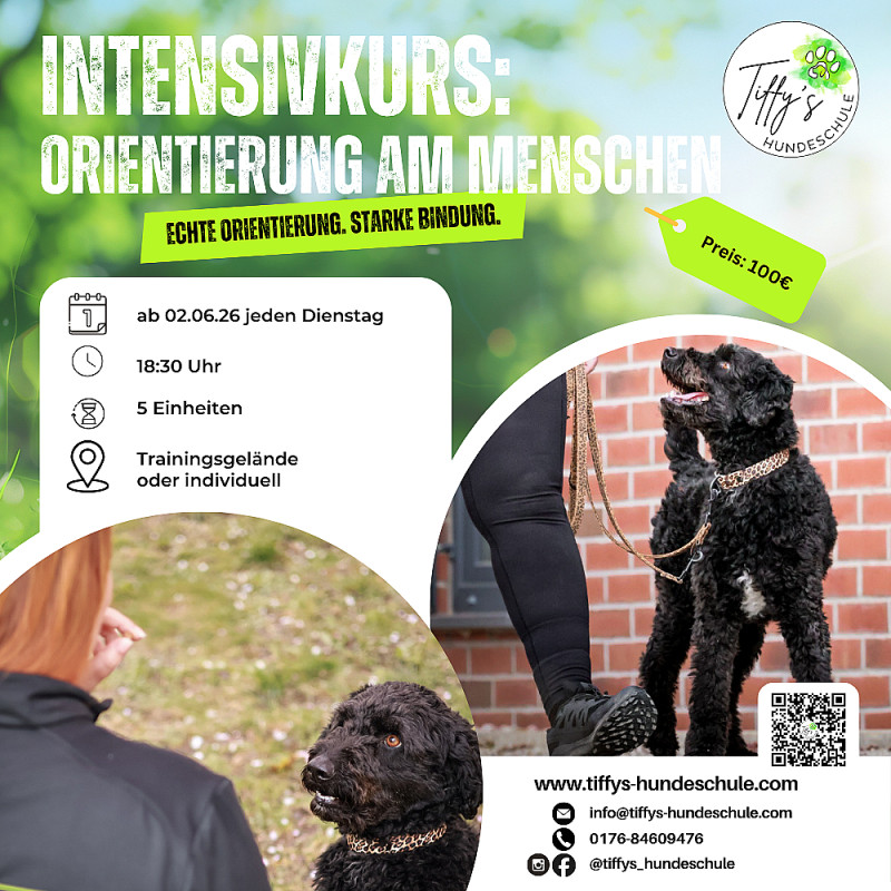 Intensivkurs: Orientierung am Menschen