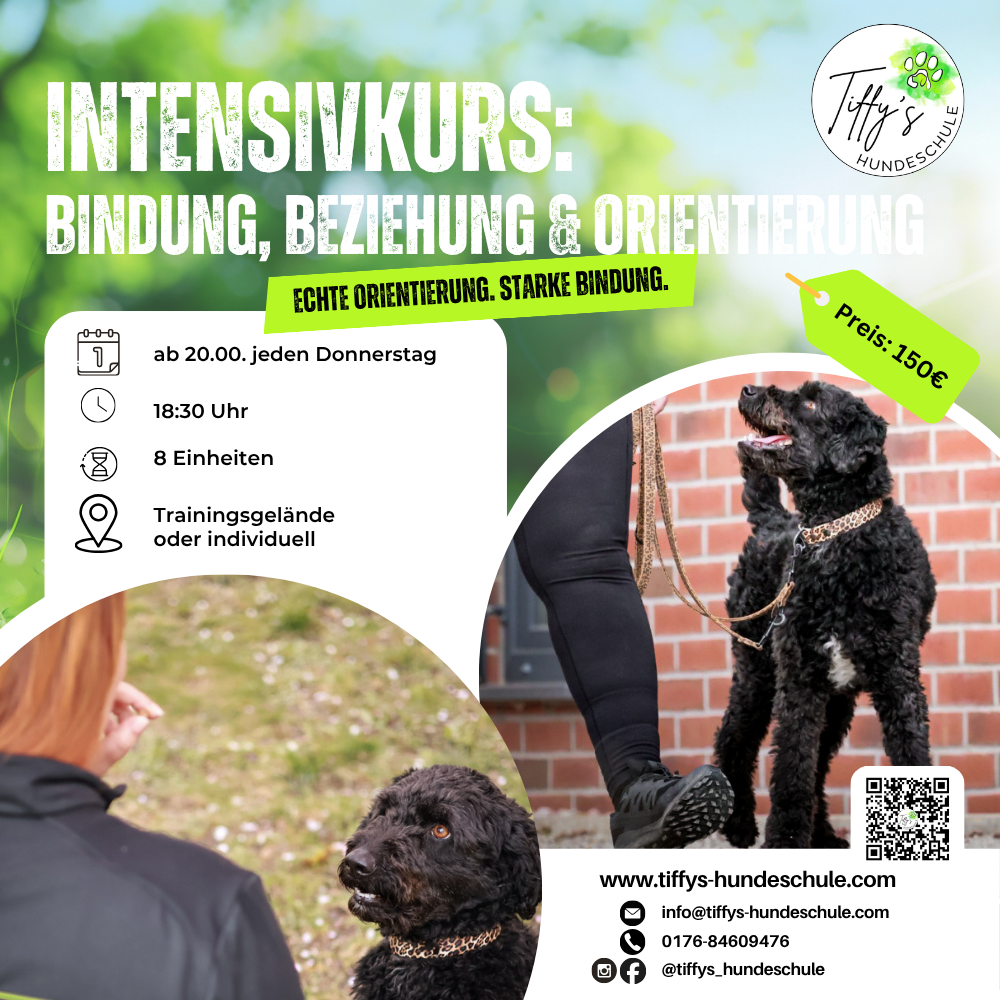 Intensivkurs: Bindung, Beziehung & Orientierung am Menschen -> Kurs läuft aktuell (keine weiteren Anmeldungen mehr möglich)