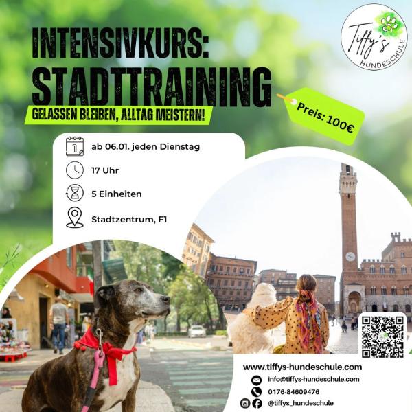 Intensivkurs: Stadttraining