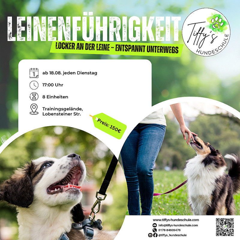Leinenführigkeitskurs