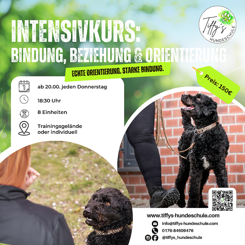 Intensivkurs: Bindung, Beziehung & Orientierung am Menschen