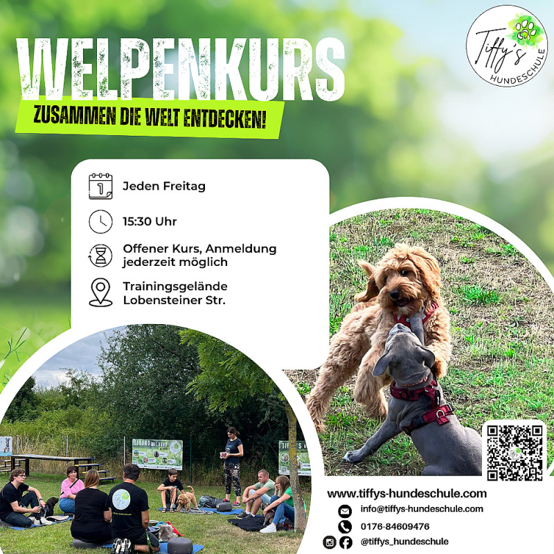 Welpenkurs