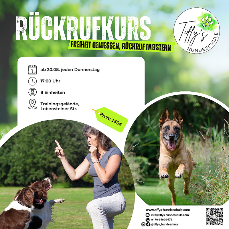 Rückruftraining
