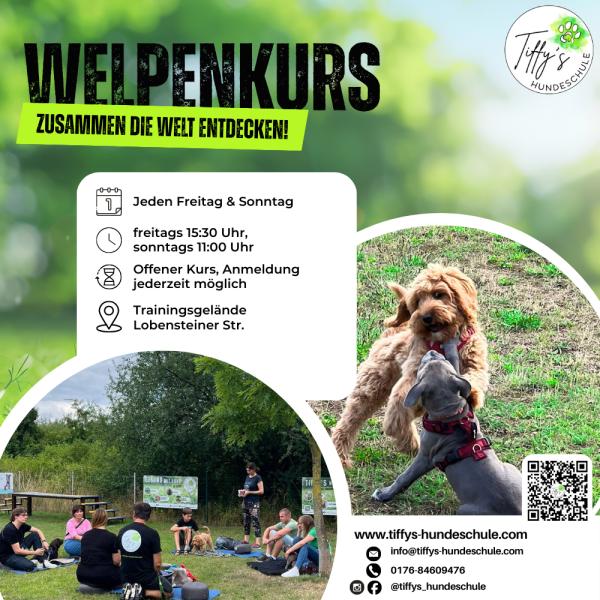 Welpenkurs