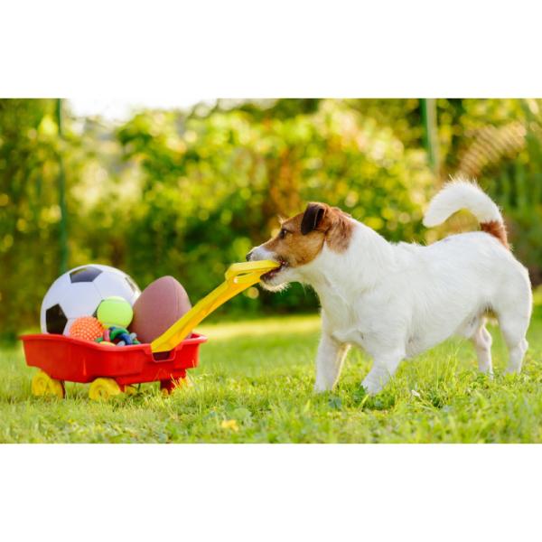 Kurs "QUERBEET" / Do