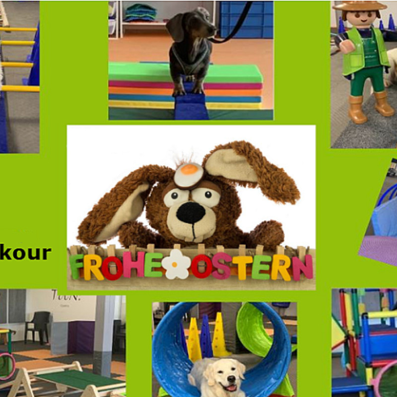 K3 Dog-OsterPARKOUR®