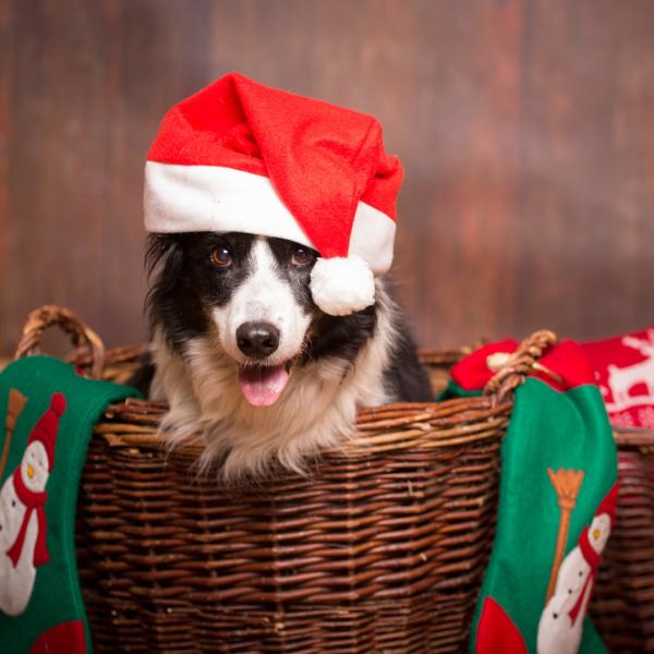 Weihnachtsfeier 2025