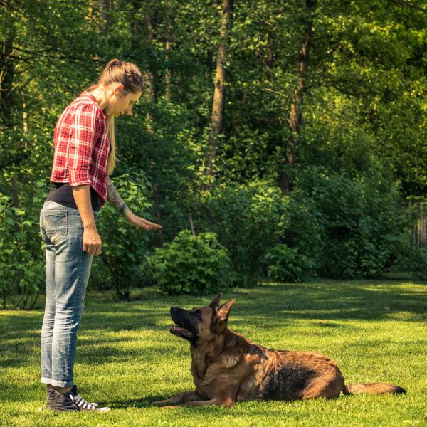 Erziehungskurs (Stufe 2)