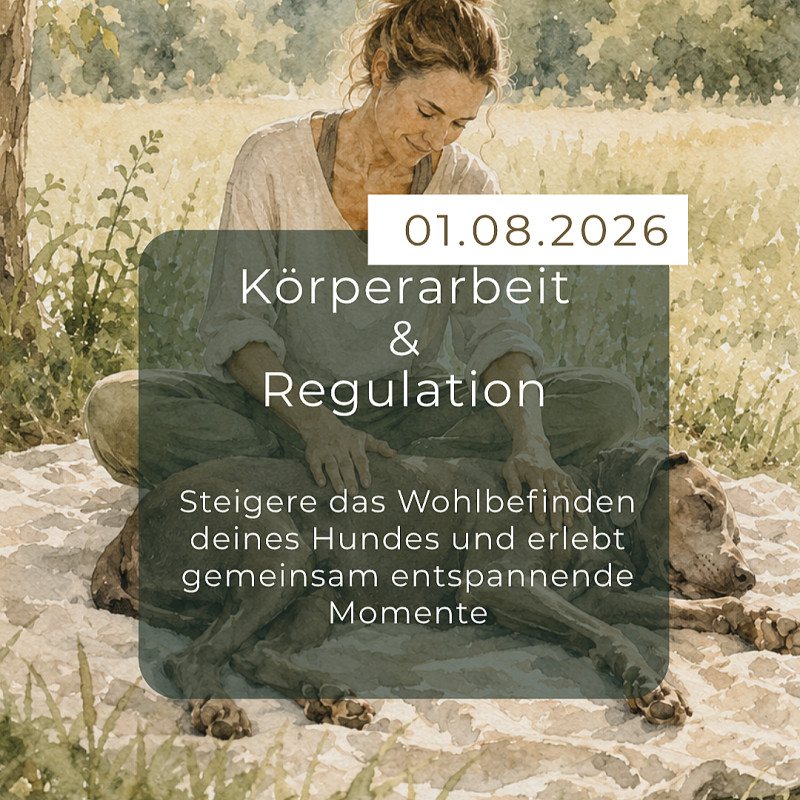 Körperarbeit & Regulation