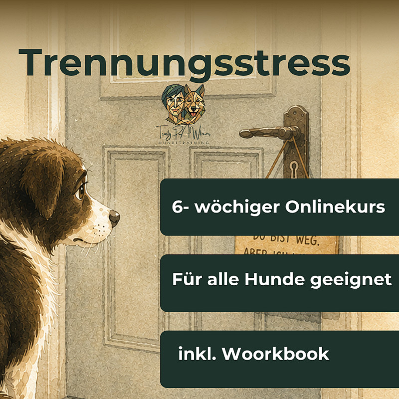 Trennungsstress beim Hund