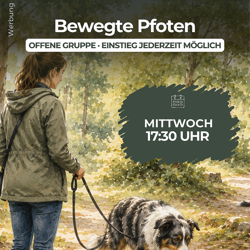 Bewegte Pfoten