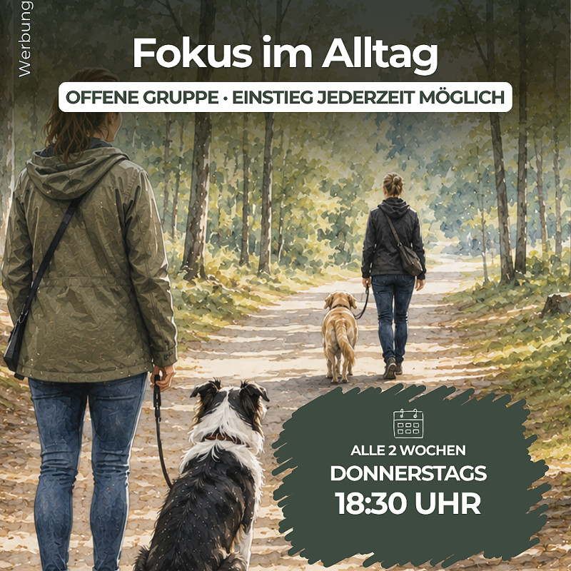 Fokus im Alltag