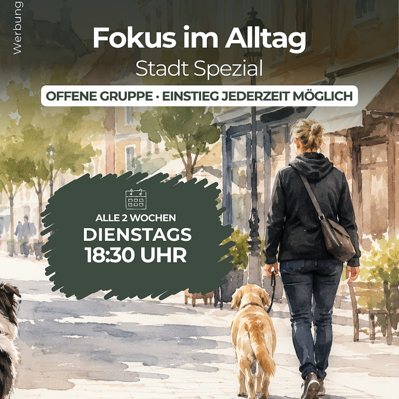 Fokus im Alltag | Stadt Spezial