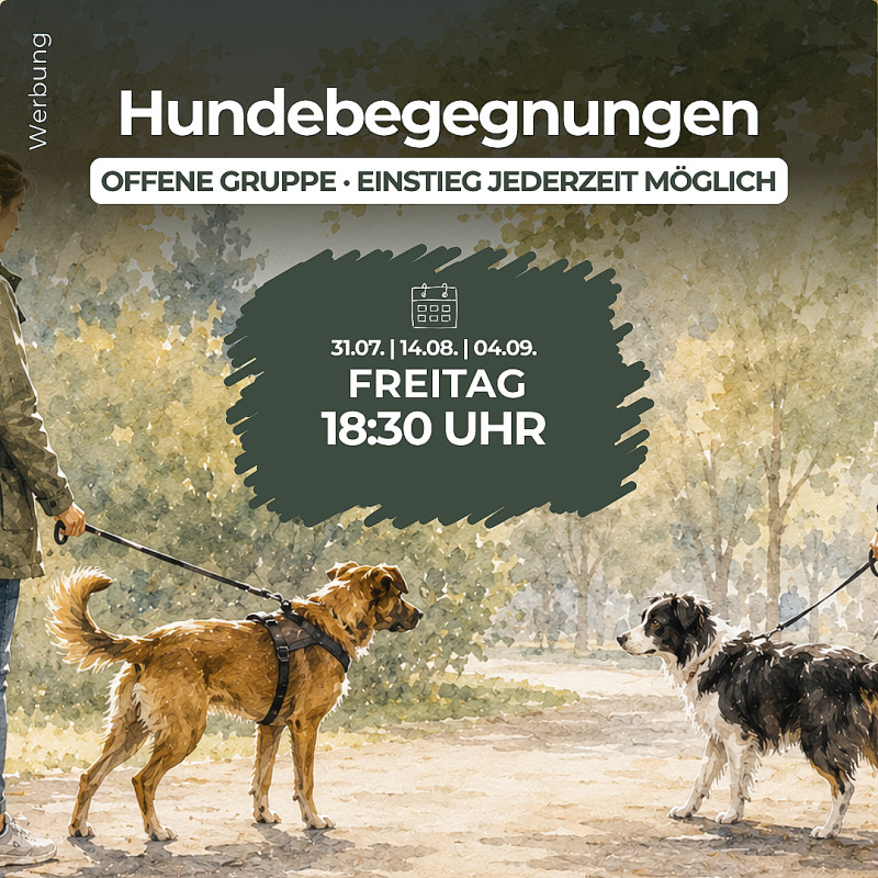 Hundebegegnungen trainieren