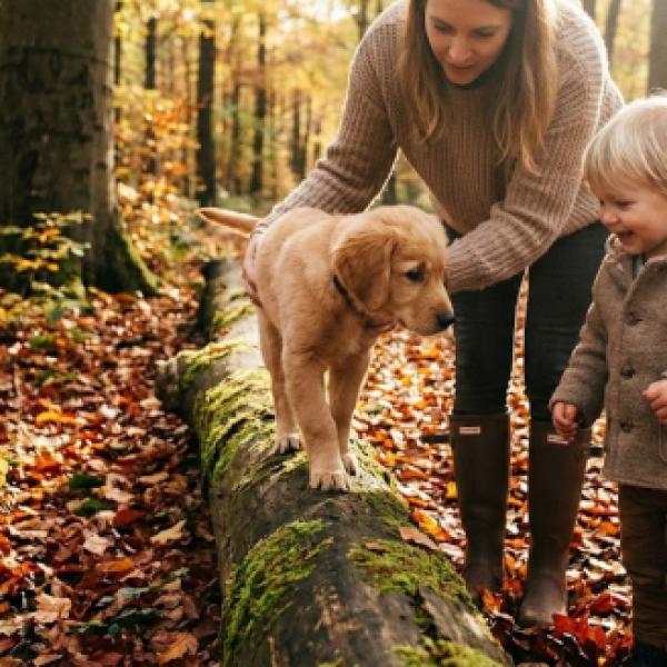 Waldknigge für Welpen und Junghunde