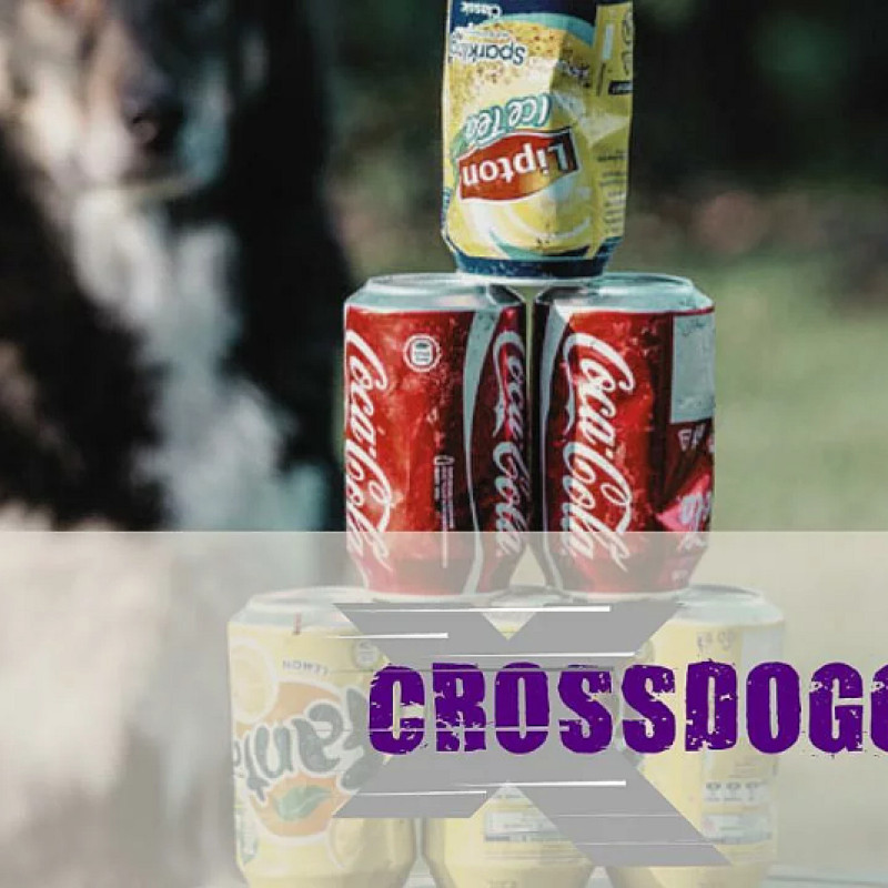Schnupperstunde CROSSDOGGING