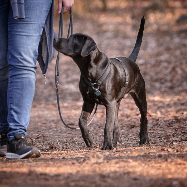 Sicher ankommen und behutsam starten