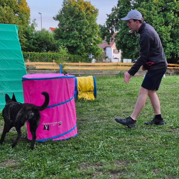 Junghund Agility Schnupperstunde