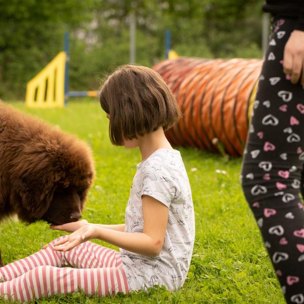 Hundeerlebnis für Kinder