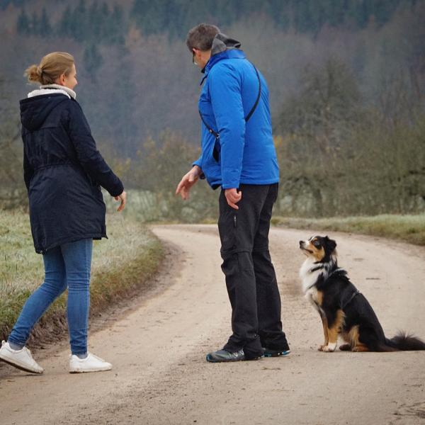 Sicher durch den Alltag - Erziehungsaufbaukurs