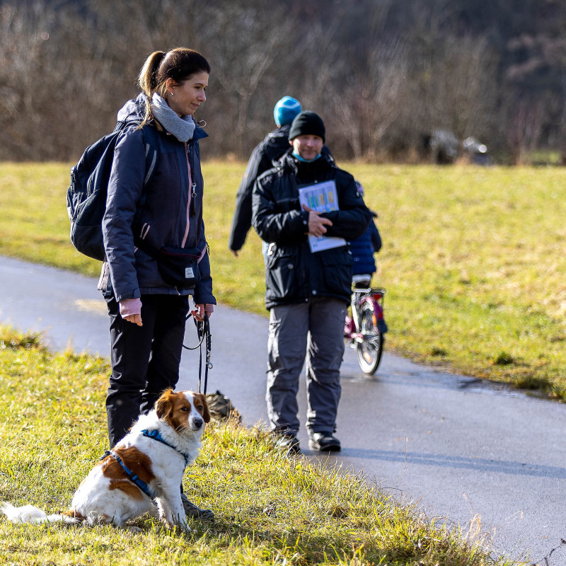 Vorbereitungskurs Hundeführerschein