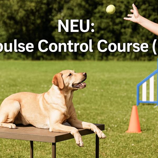 Schnupperkurs Impuls Control Course (ICC)