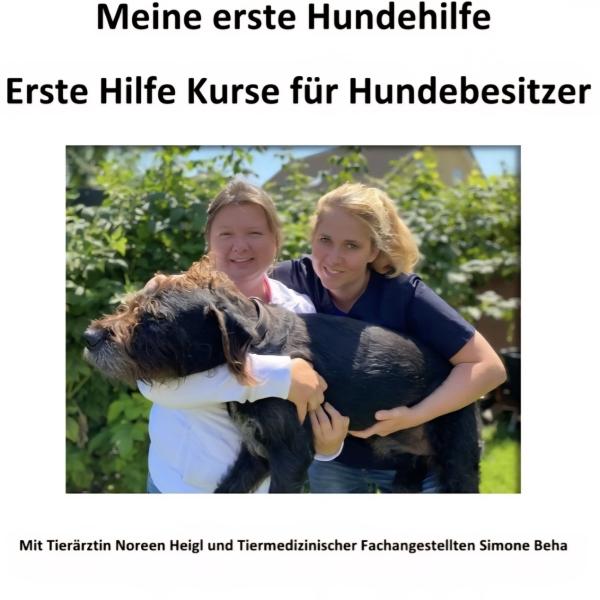 Erste Hilfe Kurs für Hunde