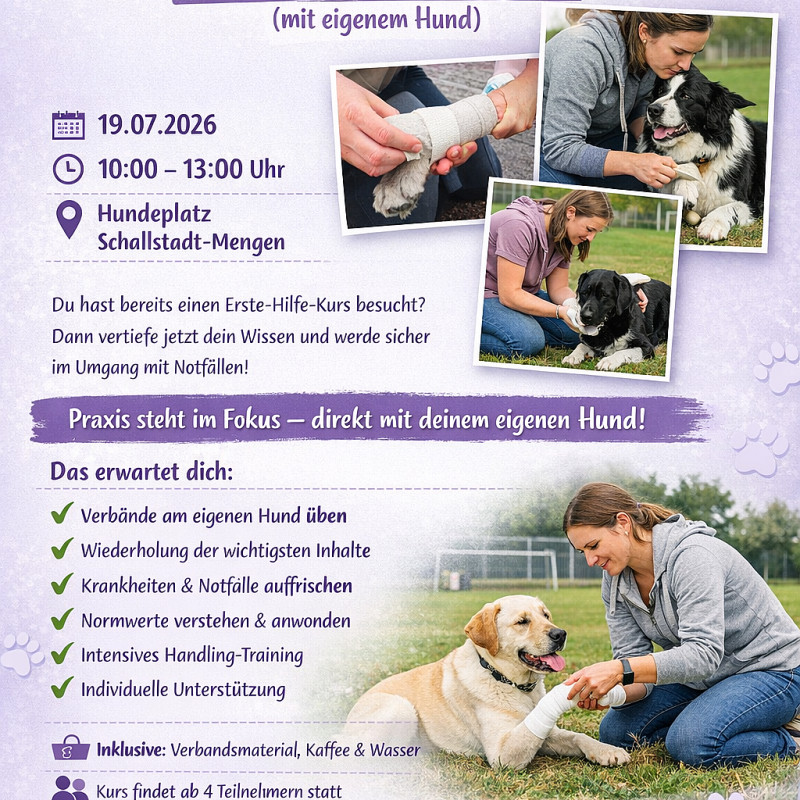 Erste Hilfe am Hund – Praxis & Sicherheit mit eigenem Hund