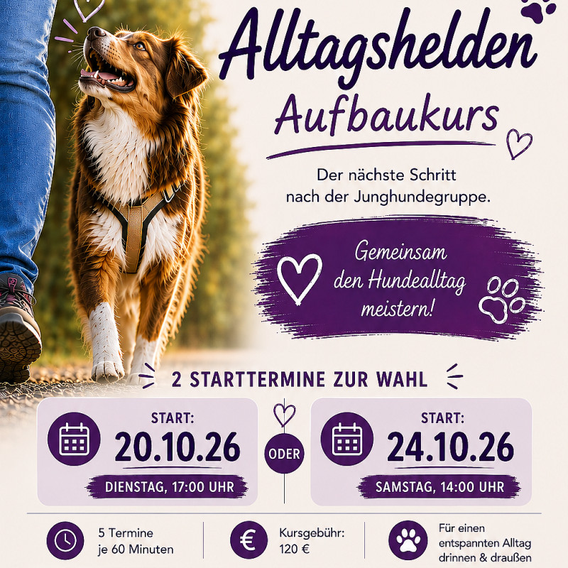 Alltagshelden Aufbaukurs Samstag