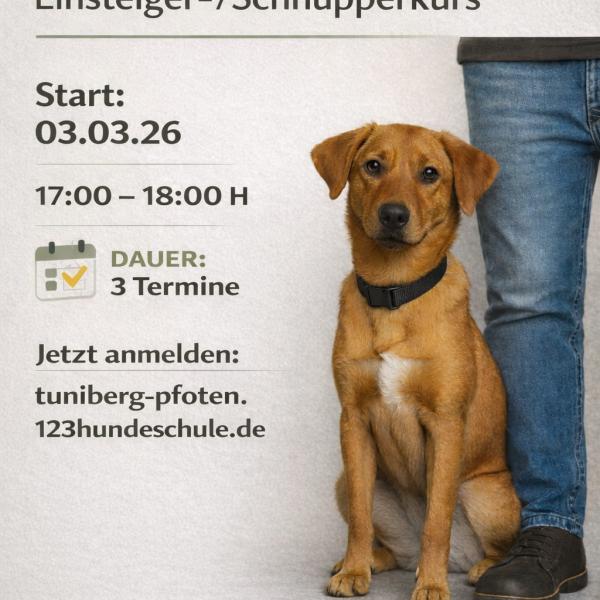 Rally Obedience Einsteiger/Schnupperkurs 3 Termine