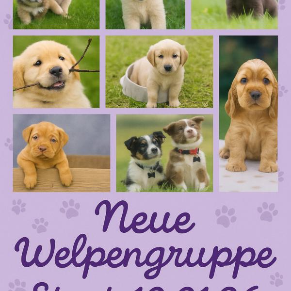Welpengruppe