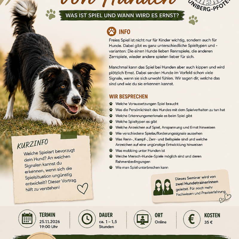 Spielverhalten Hund