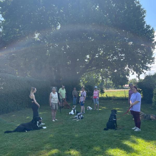 Sozialverhalten innerartlich, Gehorsamsübung