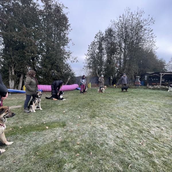 Gemischte Gruppe Sozialkontakt, Gehorsam